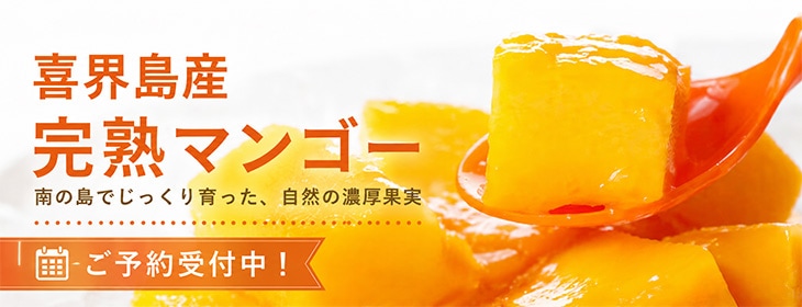 喜界島産完熟マンゴー[優品]1K （2～4玉入り) | けらじ屋 - 喜界島