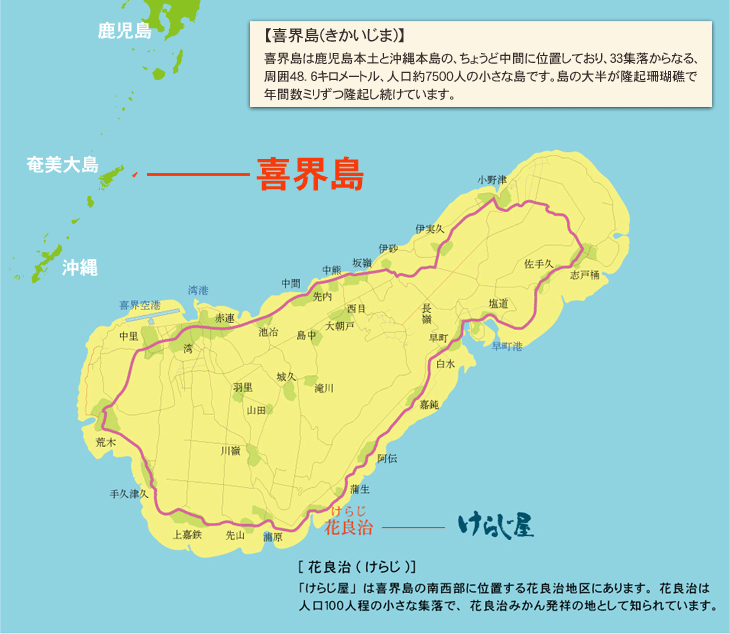 喜界島 きかいじま 会社紹介 喜界島 奄美群島 特産品総合通販のけらじ屋