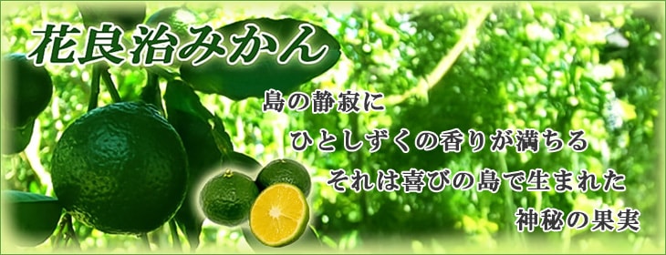 花良治(けらじ)みかん