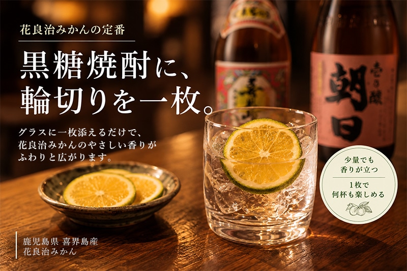 花良治みかんの特集ページ
