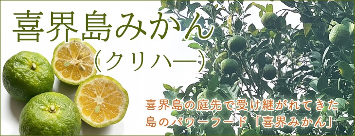 喜界島みかん（クリハー）