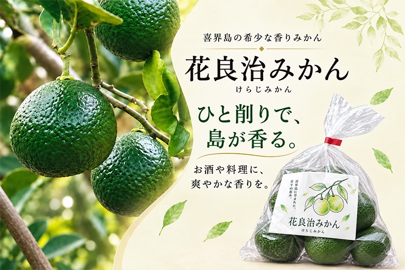 花良治(けらじ)みかん500g(袋入り)