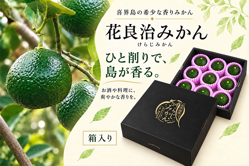 花良治みかん＜優品＞(9個入り)［箱入り］【送料無料】 | けらじ屋