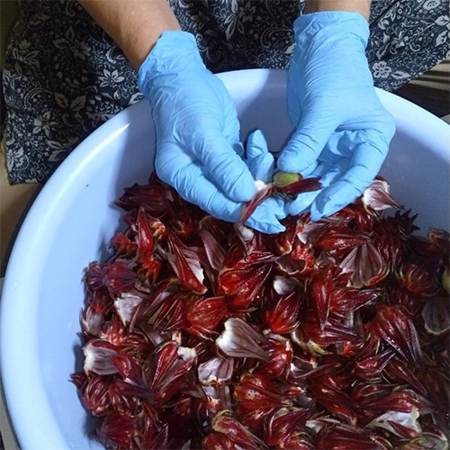 下処理・加工中の手元