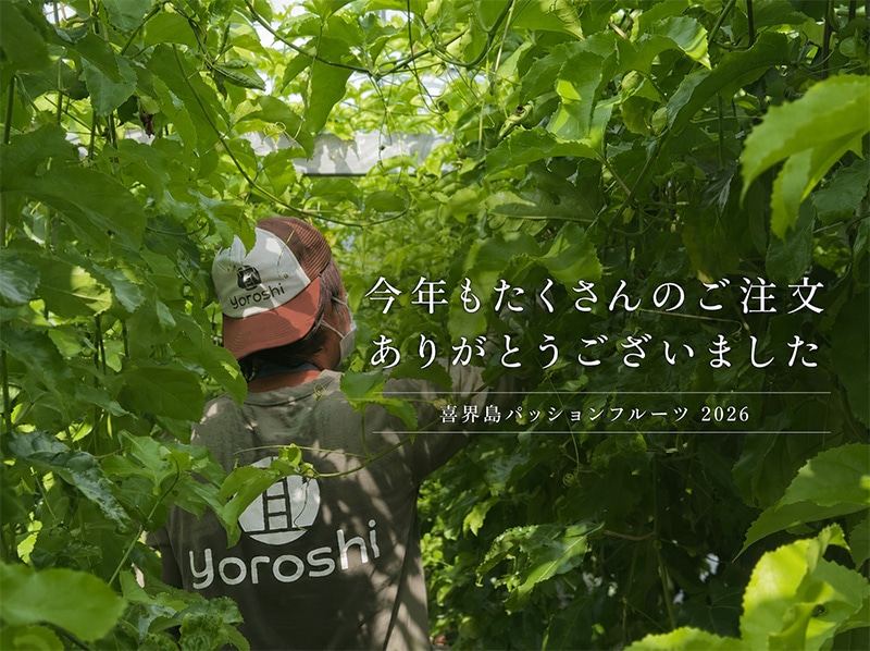 2026年 喜界島産パッションフルーツ ご注文ありがとうございました