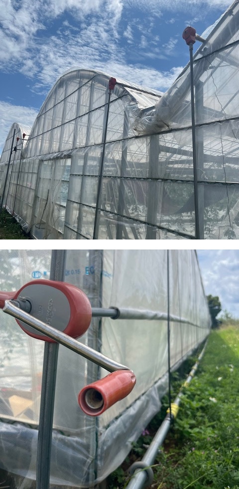ハウスビニールの環境管理の様子