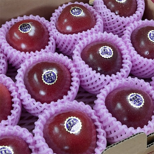 箱に詰められた出荷前のパッションフルーツ