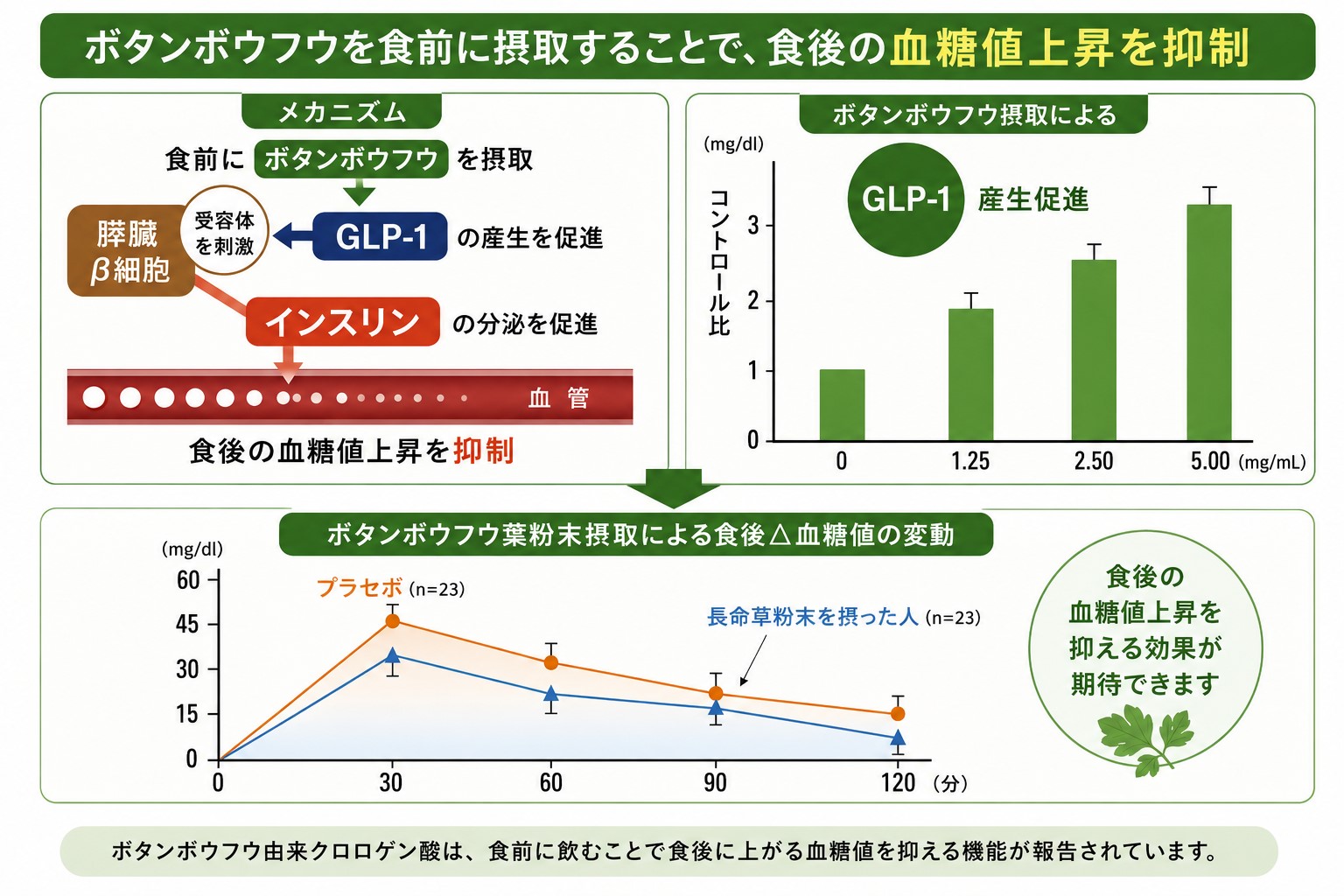 ボタンボウフウの葉