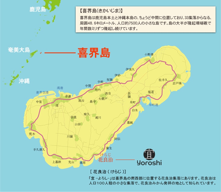喜界島は鹿児島本土と沖縄本島の、ちょうど中間に位置しており、３３集落からなる、
周囲４８．６キロメートル、人口約６５００人の小さな島です。島の大半が隆起珊瑚礁で年間数ミリずつ隆起し続けています。