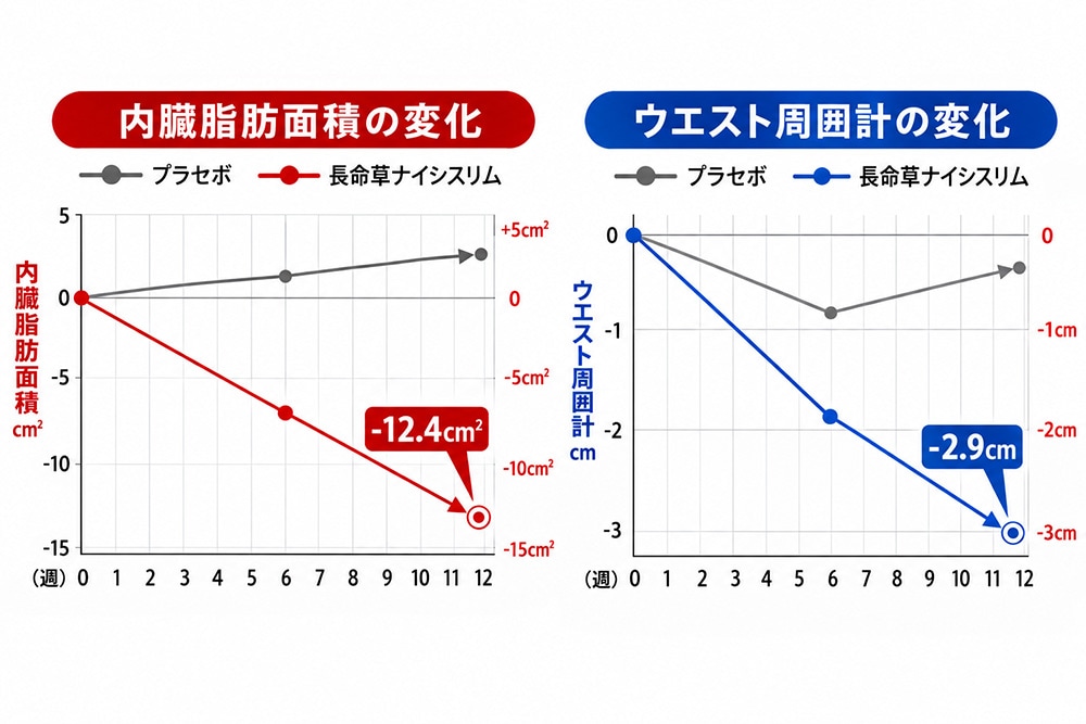 長命草ナイシスリム摂取による内臓脂肪面積とウエスト周囲計の変化を示した12週間の比較グラフ