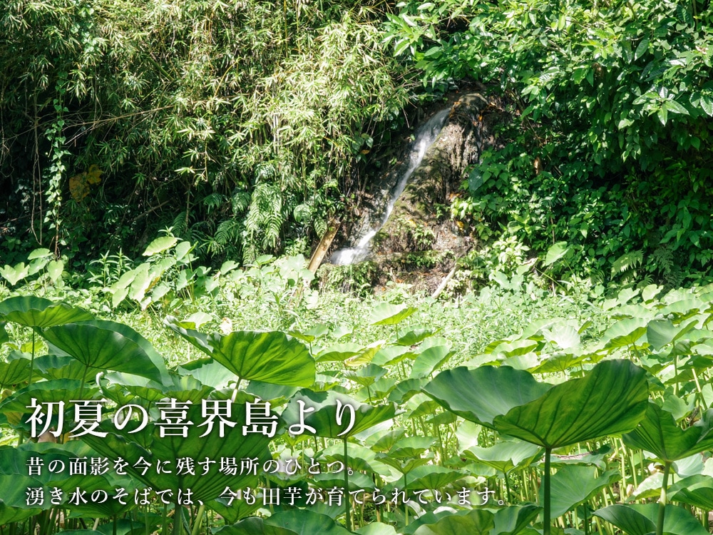 月刊便り よろこび、ひとしな。Vol.2 2026年8月号