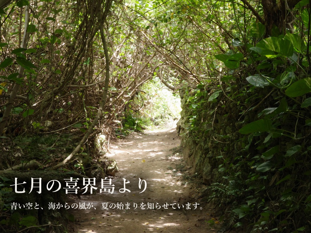 月刊便り よろこび、ひとしな。
