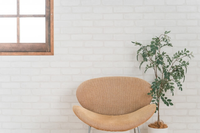 オシャレなインテリアを作る大型観葉植物の取り入れ方とは？