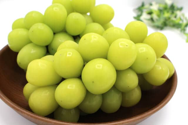 シャインマスカットの育て方と苗の選び方