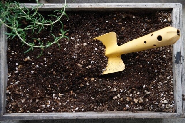 植物別に最適な培養土の選び方