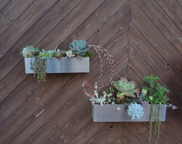 初心者向け多肉植物寄せ植えの作り方と通販で揃える材料