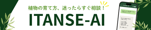 line登録はこちら