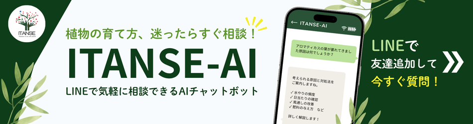 ITANSE-AI 植物の育て方、迷ったらすぐ相談！LINEで気軽に相談できるAIチャットボット