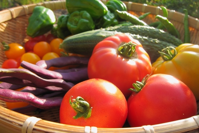 自分で育て野菜を収穫できる喜びがある