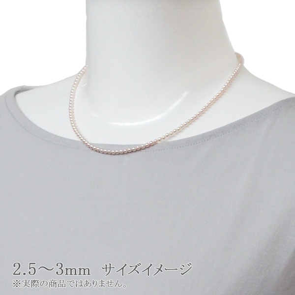 奤᡼2.5mm