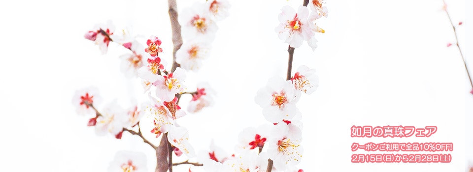 10��OFF��ǡ��ο���ե���