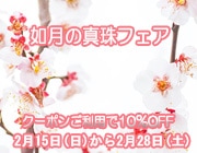 10��OFF��ǡ��ο���ե���