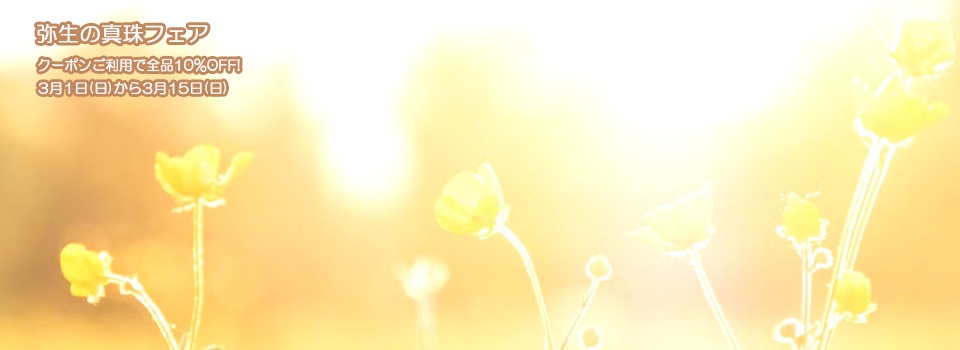 10��OFF�������ο���ե���