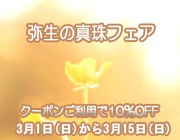 10��OFF�������ο���ե���