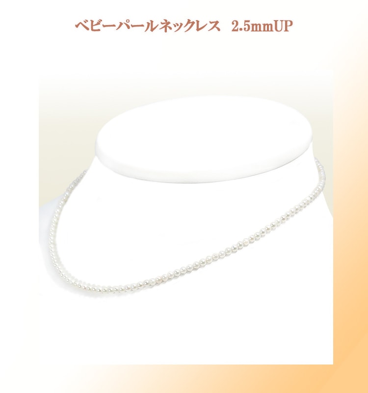 �٥ӡ��ѡ���ͥå��쥹