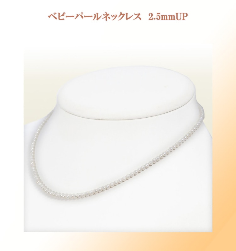 �٥ӡ��ѡ���ͥå��쥹