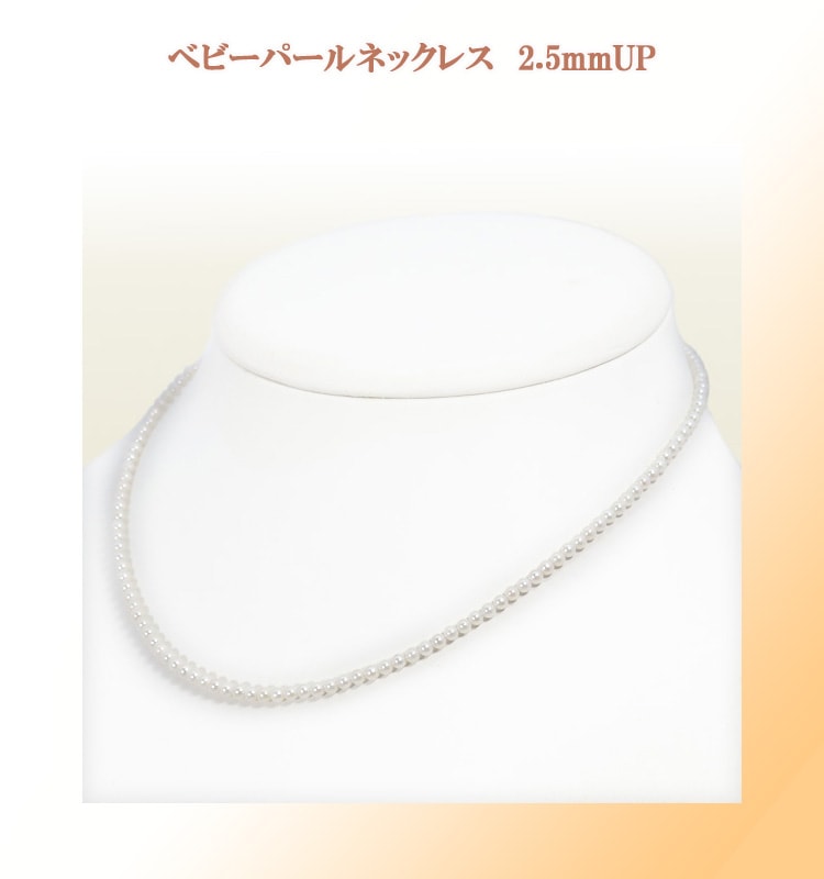 �٥ӡ��ѡ���ͥå��쥹