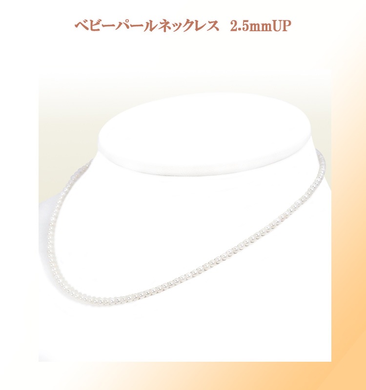 �٥ӡ��ѡ���ͥå��쥹