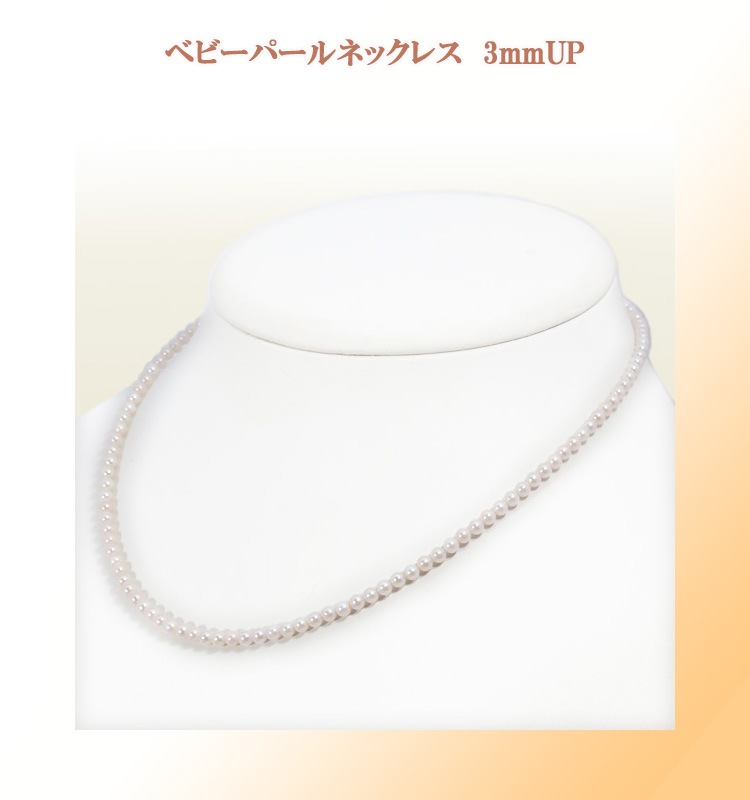 �٥ӡ��ѡ���ͥå��쥹