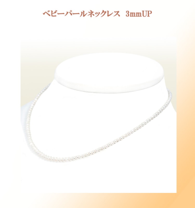 �٥ӡ��ѡ���ͥå��쥹