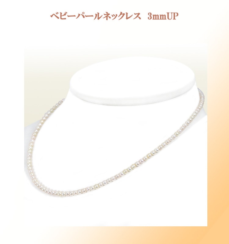 �٥ӡ��ѡ���ͥå��쥹