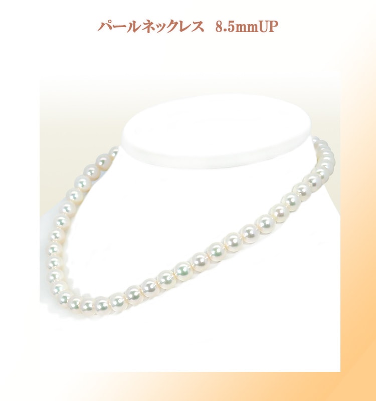 �ѡ���ͥå��쥹