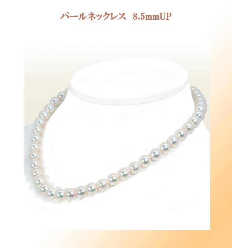 �ѡ���ͥå��쥹