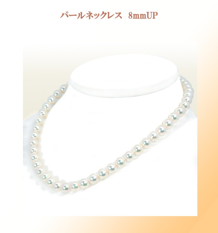 �ѡ���ͥå��쥹