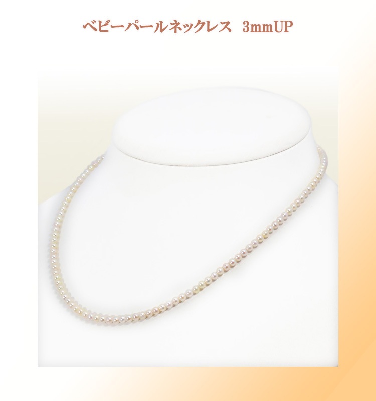�٥ӡ��ѡ���ͥå��쥹