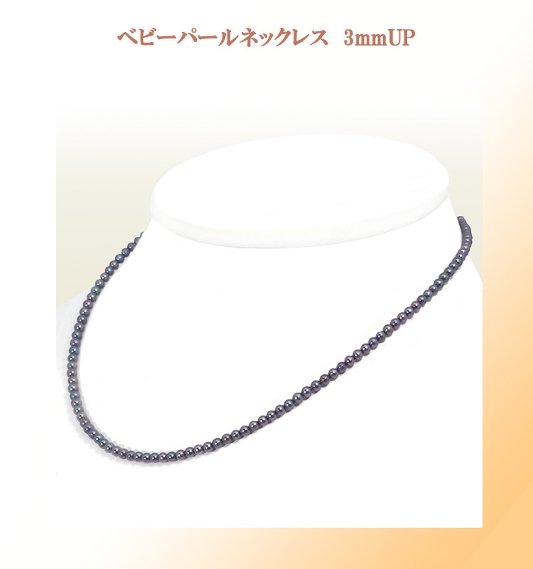 �٥ӡ��ѡ���ͥå��쥹