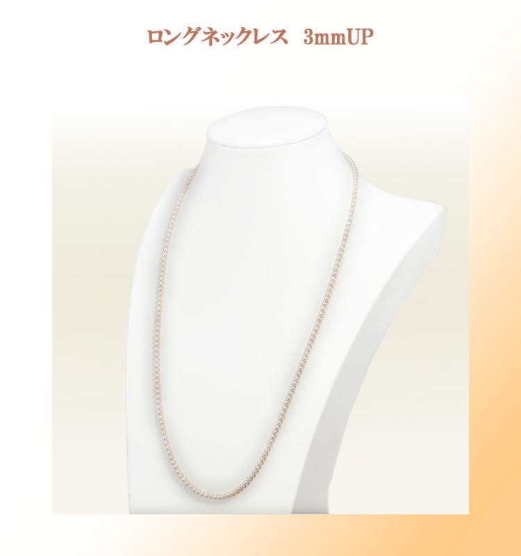 �٥ӡ��ѡ���ͥå��쥹