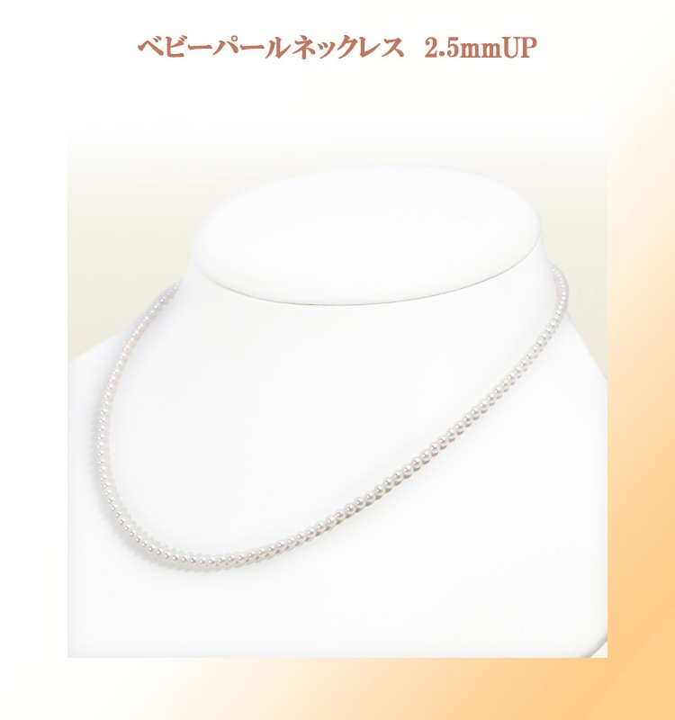 �٥ӡ��ѡ���ͥå��쥹