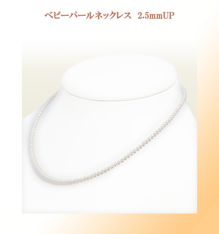 �٥ӡ��ѡ���ͥå��쥹