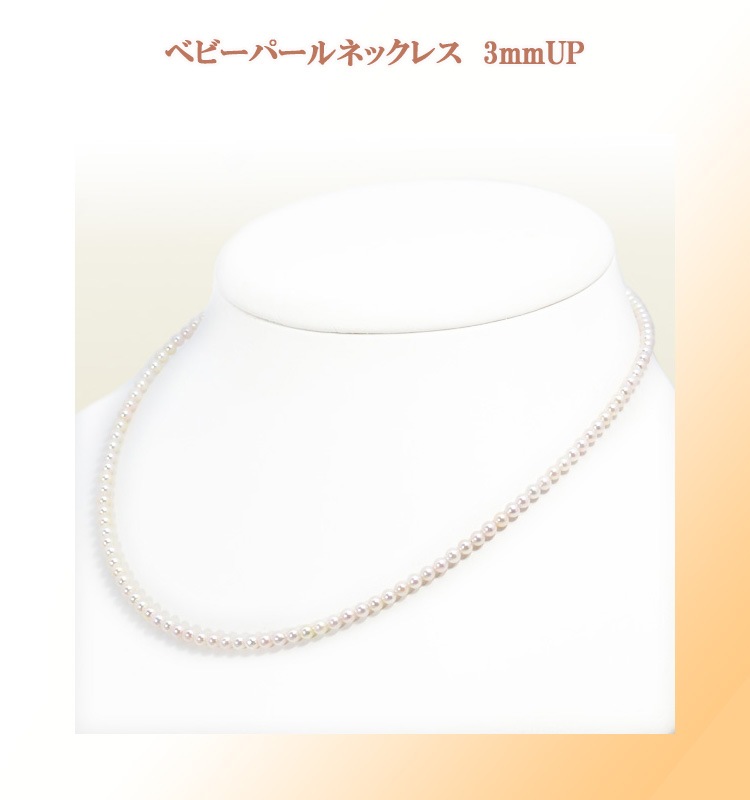 �٥ӡ��ѡ���ͥå��쥹