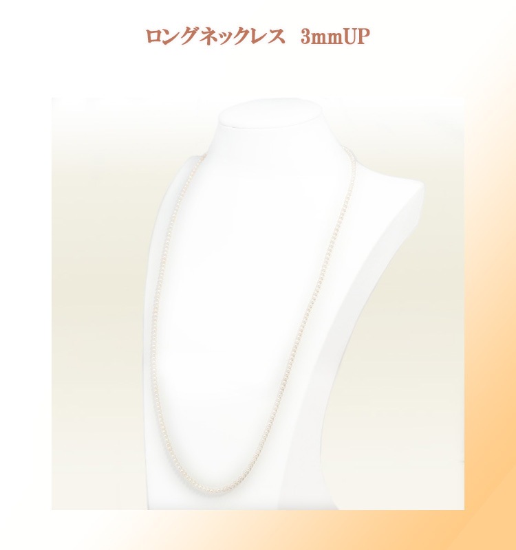 �٥ӡ��ѡ���ͥå��쥹