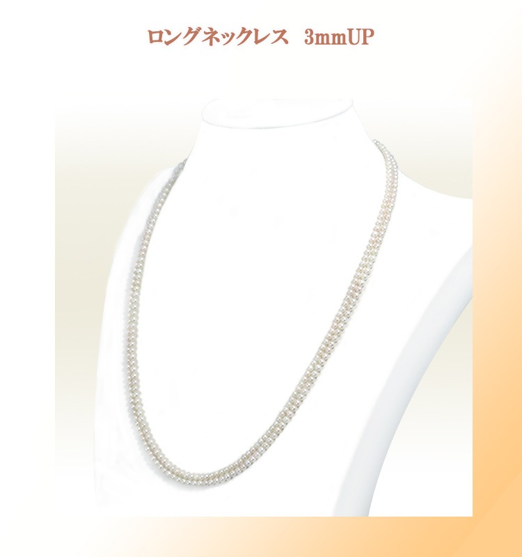 �٥ӡ��ѡ���ͥå��쥹