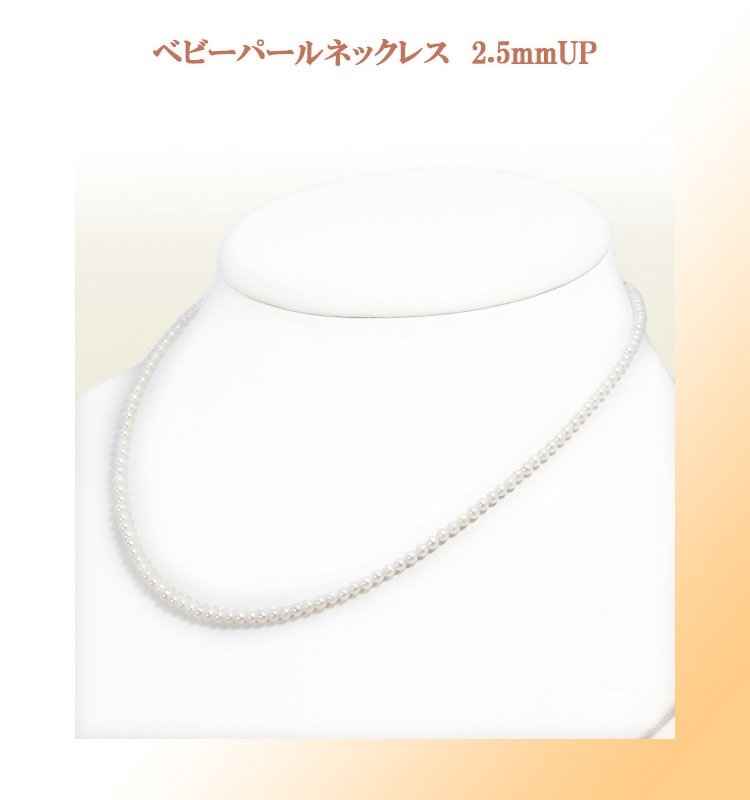 �٥ӡ��ѡ���ͥå��쥹