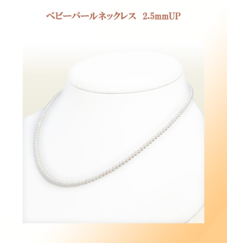 �٥ӡ��ѡ���ͥå��쥹