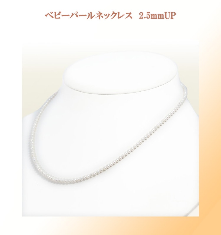 �٥ӡ��ѡ���ͥå��쥹