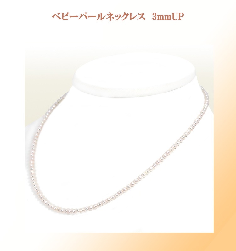 �٥ӡ��ѡ���ͥå��쥹